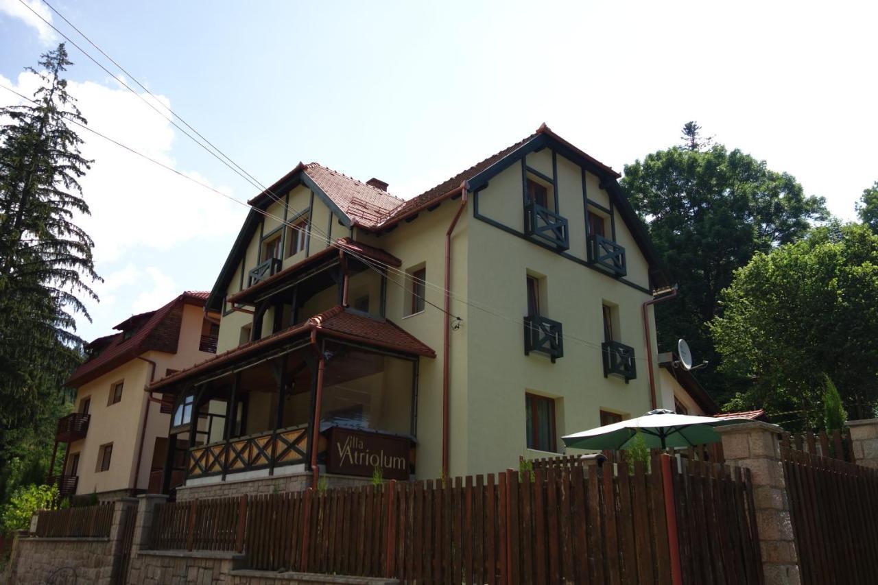 Villa Atriolum BaileTusnad Habitación foto